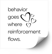 Thumbnail for Behavior Goes Where Reinforcement Flows Sticker | Minimalist ABA Quote Vinyl Decal | Therapist Teacher Gift