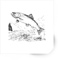 Thumbnail for Leaping Salmon Sticker | Vintage Line Art Fish Vinyl Decal | Fishing Angler Outdoor Gift