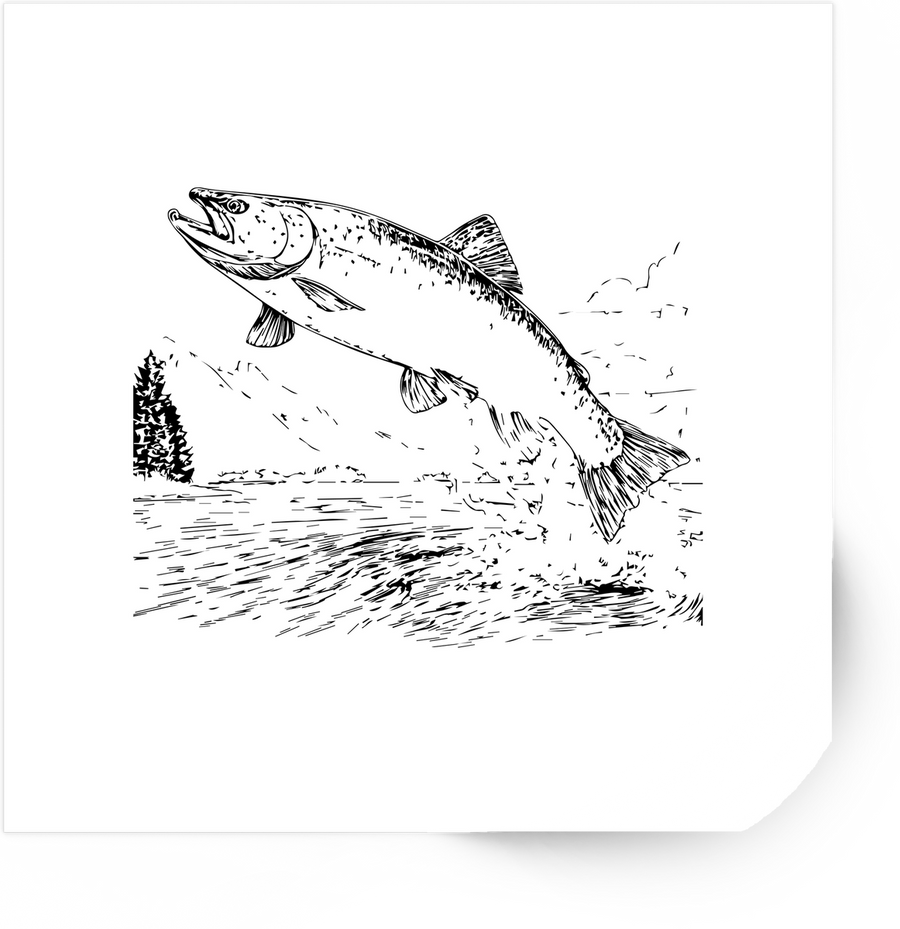Leaping Salmon Sticker | Vintage Line Art Fish Vinyl Decal | Fishing Angler Outdoor Gift